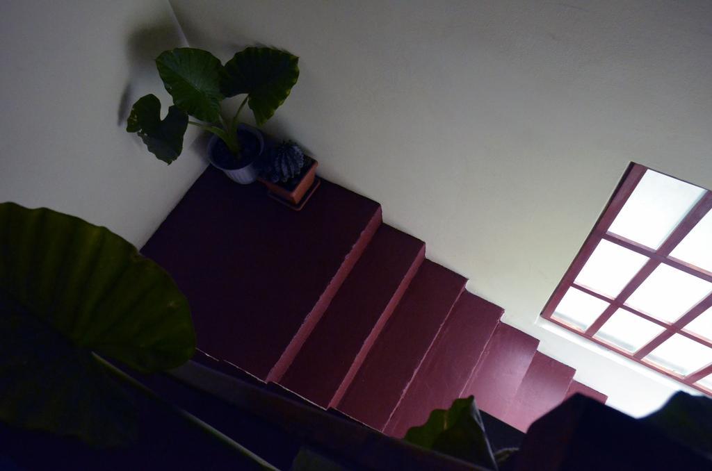 Apartments Nera Zagrzeb Zewnętrze zdjęcie