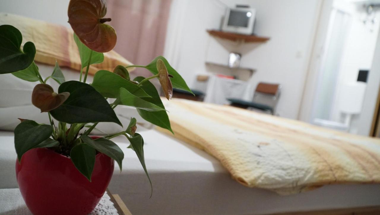Apartments Nera Zagrzeb Zewnętrze zdjęcie